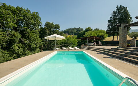 Grezzano Villa: Water, Plant, Sky, Property, Swimming Pool, Tree, Azure, Shade, Body Of Water, Grass