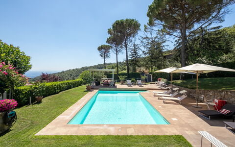 The swimming pool