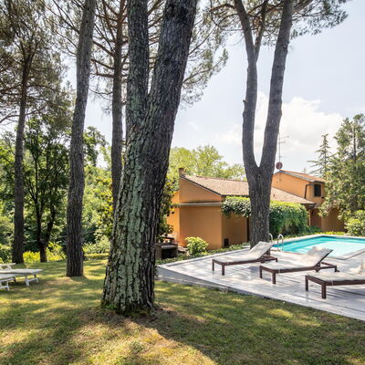 Villa Del Mugello: Plant, Building, Property, Sky, Shade, Tree, House, Land Lot, Cloud, Swimming Pool