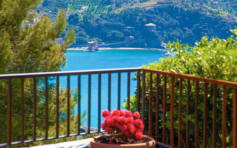 Marlà - Levanto: Water, Plant, Property, Flower, Fence, Building, Azure, Tree, House, Sky
