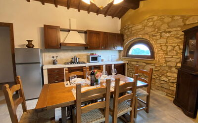 Accommodation:&nbsp;Aves 650.10