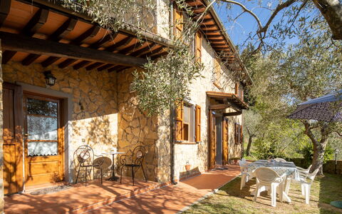 Casa Del Colle: Building, Property, Plant, Window, Sky, Azure, Shade, Door, Tree, Architecture