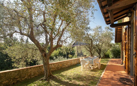 Casa Del Colle: Plant, Sky, Tree, Shade, Grass, Natural Landscape, Wood, Building, Landscape, Tints And Shades