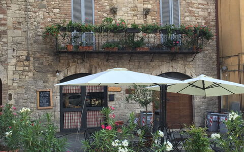 La Terrazza Di Todi: Plant, Window, Property, Flower, Flowerpot, Houseplant, Building, Lighting, Road Surface, Umbrella