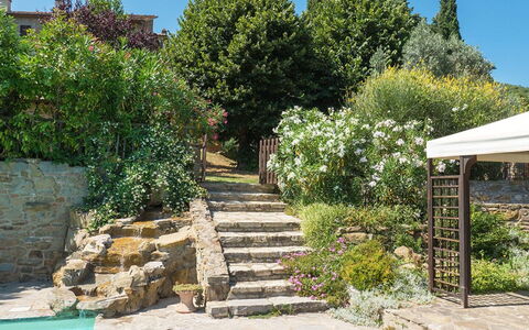 Villa Taragnano: Plant, Property, Sky, Botany, Flower, Vegetation, Land Lot, Biome, Landscape, Rural Area