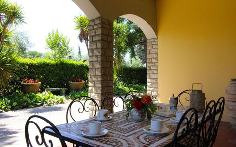 Il Poggiolo: Plant, Table, Property, Furniture, Tableware, Flowerpot, Building, Azure, Chair, Houseplant