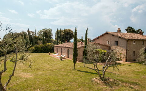 Lavacchio 10: Plant, Sky, Cloud, Ecoregion, Window, Tree, Land Lot, Building, Natural Landscape, Grass