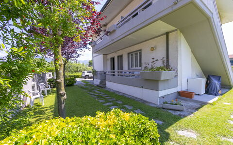 Pontremoli Apartments: Plant, Building, Property, Leaf, Botany, Grass, Tree, Shade, Urban Design, Neighbourhood