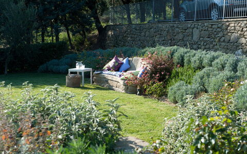 Villa Adelfa: Plant, Plant Community, Flower, Tree, Vegetation, Land Lot, Natural Landscape, Grass, Hedge, Outdoor Furniture