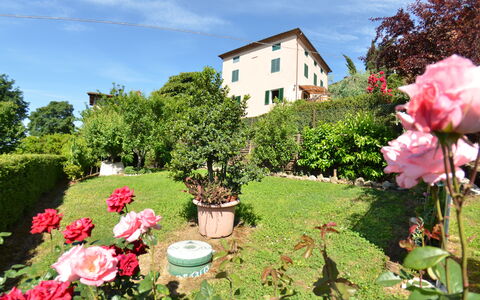 Alla Collina Del Sole: Flower, Plant, Cloud, Sky, Window, Green, Botany, Nature, Building, Natural Landscape