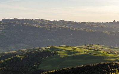 Panoramic view