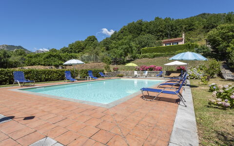 Villa Rosata: Water, Plant, Sky, Furniture, Chair, Building, Swimming Pool, Umbrella, Tree, Outdoor Furniture