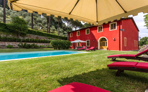 Villa Guasperini: Plant, Property, Building, Shade, Umbrella, Outdoor Furniture, Grass, Leisure, Swimming Pool, Tree