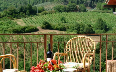 Tenuta Le Sodole: Plant, Furniture, Sky, Property, Cloud, Chair, Flower, Green, Leaf, Nature