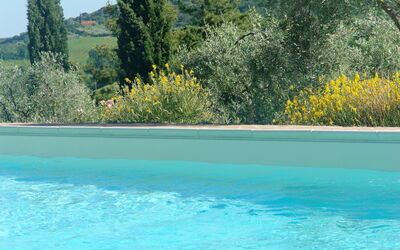 Papavero Holiday Home: Water, Sky, Plant, Property, Swimming Pool, Plant Community, Tree, Nature, Azure, Natural Landscape