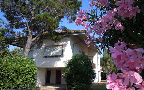 Casa Argentario: Flower, Plant, Sky, Daytime, Window, Building, Nature, Botany, Tree, Branch