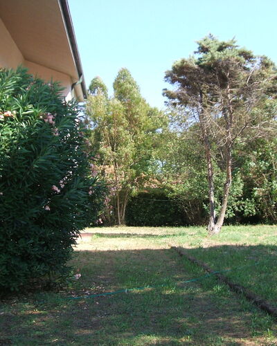 Casa Argentario: Plant, Property, Sky, Tree, Land Lot, Road Surface, Shade, Grass, Groundcover, Natural Landscape