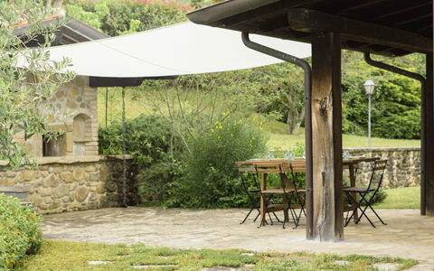 Villa San Leo: Plant, Table, Property, Plant Community, Nature, Shade, Building, Outdoor Table, Land Lot, Architecture