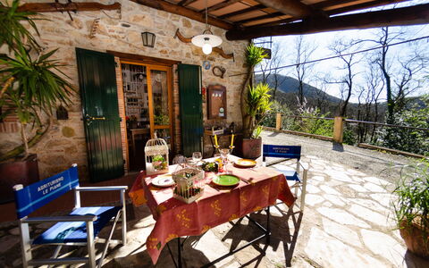 Le Piane: Plant, Table, Furniture, Flowerpot, Chair, Houseplant, Wood, Tree, Building, Interior Design