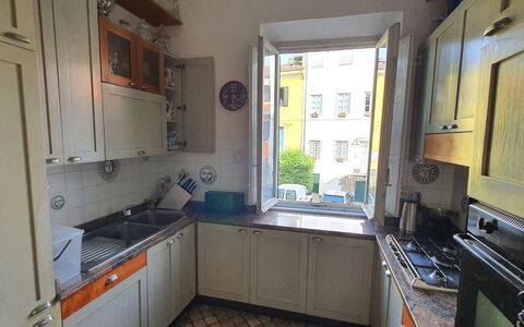 Lucida: Kitchen Sink, Cabinetry, Sink, Countertop, Houseplant, Window, Kitchen, Wood, Tap, Home Appliance