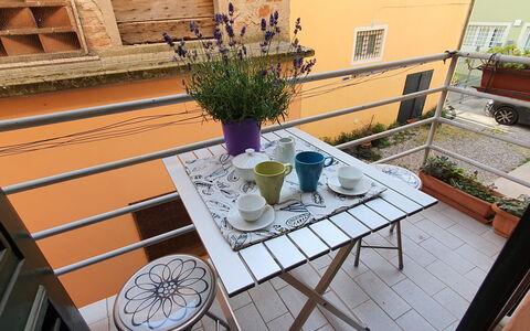 Lucida: Plant, Tableware, Property, Window, Table, Flowerpot, Wood, Houseplant, Interior Design, Purple