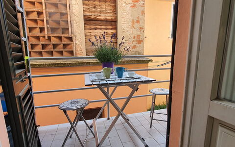 Lucida: Plant, Flowerpot, Houseplant, Window, Wood, Table, Interior Design, Flooring, Floor, Building