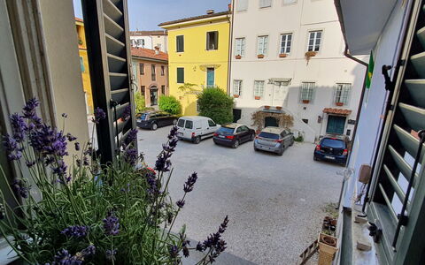 Lucida: Plant, Building, Window, Car, Wheel, Flower, Vehicle, Road Surface, Urban Design