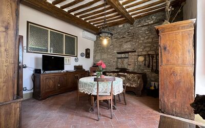 Casa Priscilla: Furniture, Table, Flower, Window, Building, Wood, Interior Design, Living Room, Houseplant, Flooring