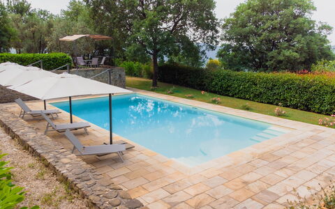 Villa Sant'anna: Water, Plant, Property, Swimming Pool, Shade, Rectangle, Tree, Sky, Grass, Outdoor Furniture