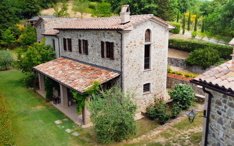 Villa Sant'anna: Plant, Building, Property, Window, Tree, House, Land Lot, Wood, Cottage, Neighbourhood