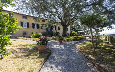 Villa San Gennaro: Plant, Building, Window, Tree, Sky, Road Surface, Land Lot, House, Landscape, Grass