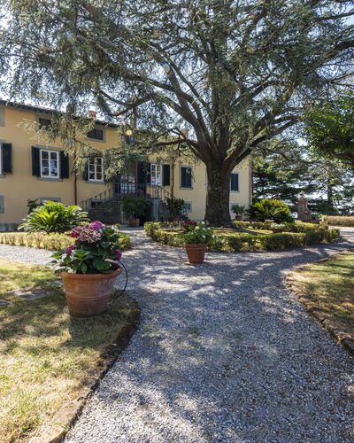Villa San Gennaro: Plant, Building, Window, Tree, Sky, Road Surface, Land Lot, House, Landscape, Grass