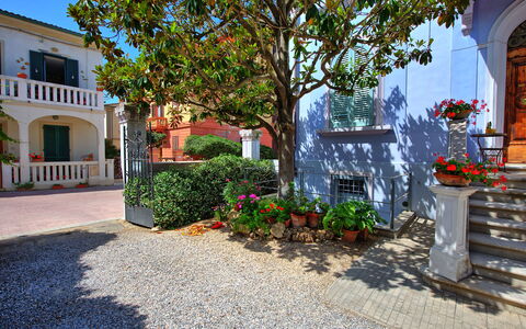 Casa Riva: Plant, Flower, Building, Window, Property, Flowerpot, Blue, Road Surface, Tree, Houseplant
