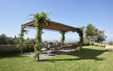 Casa Lionardo: Land Lot, Garden, Shade, Outdoor Furniture, Groundcover, Pergola, Outdoor Structure, Landscaping, Flowerpot