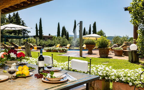 Podere La Torre: Plant, Table, Flower, Property, Furniture, Sky, Nature, Botany, Tableware, Outdoor Furniture