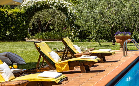 Podere La Torre: Plant, Green, Water, Outdoor Furniture, Wood, Sunlounger, Shade, Tree, Leisure, Grass