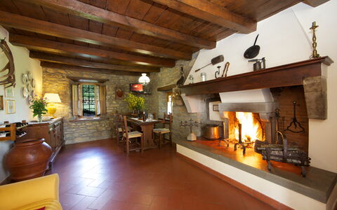 Villa Renaccio: Building, Wood, Plant, Interior Design, Living Room, Couch, Houseplant, Floor, Beam, Flowerpot