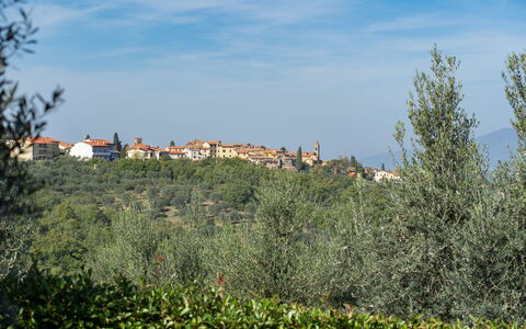 Residenza la Casuccia: Sky, Plant, Cloud, Ecoregion, Natural Landscape, Land Lot, Vegetation, Tree, Building, Grass