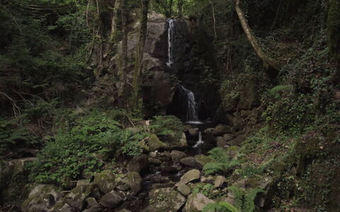 Villa In Garfagnana: Plant, Water, Plant Community, Natural Landscape, Waterfall, Watercourse, Spring, Terrestrial Plant, Bedrock