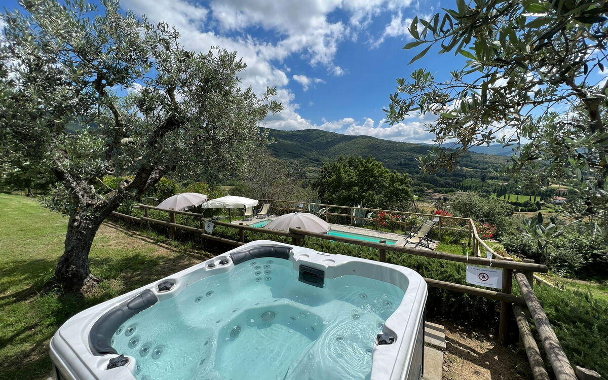 Hydromassage bathtub