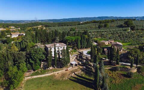 Villa Staggia: Tree, Landscape, Shrub, Estate, Mansion, Landscaping, Evergreen, Plantation