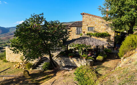 Casale Montanare: Plant, Property, Sky, Plant Community, Window, Building, Natural Landscape, Land Lot, Tree, House