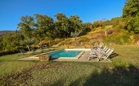 Casale Montanare: Plant, Sky, Plant Community, Water, Natural Landscape, Swimming Pool, Outdoor Furniture, Cloud, Land Lot, Tree