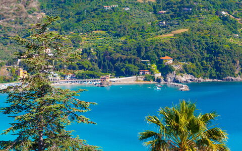 Casa Grande Mare - Levanto: Water, Plant, Nature, Azure, Tree, Natural Landscape, Lake, Vegetation, Coastal And Oceanic Landforms, Biome