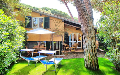 Le Dune: Plant, Property, Building, Window, Tree, Sky, Shade, Chair, Outdoor Furniture, Umbrella