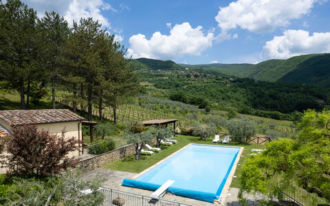 Villa Olivi - Subbiano, Toscana, Pool And Nature: Plant, Water, Cloud, Sky, Property, Swimming Pool, Azure, Tree, Natural Landscape, Mountain