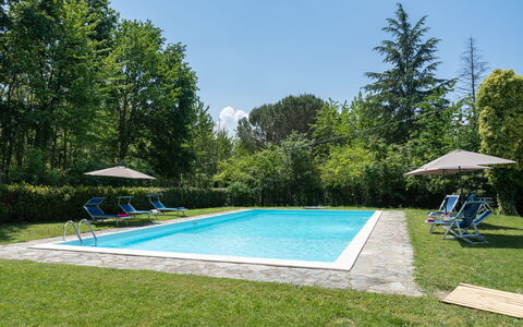 Villa Le Selve: Plant, Property, Sky, Water, Swimming Pool, Shade, Tree, Building, Land Lot, Grass