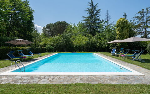 Villa Le Selve: Water, Plant, Swimming Pool, Sky, Rectangle, Shade, Tree, Grass, Leisure, Real Estate