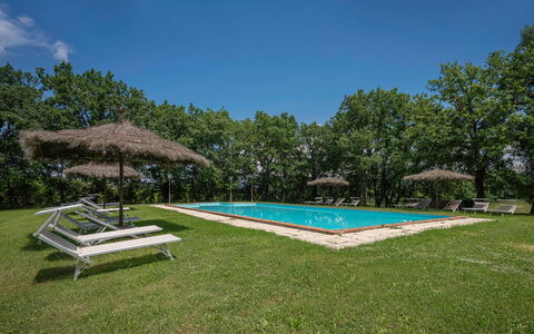 Belvedere - Falceto, Ambra, Toscana: Sky, Property, Plant, Water, Swimming Pool, Shade, Tree, House, Land Lot, Grass