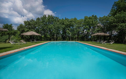 Belvedere - Falceto, Ambra, Toscana: Water, Cloud, Plant, Property, Swimming Pool, Sky, Azure, Tree, Shade, Composite Material